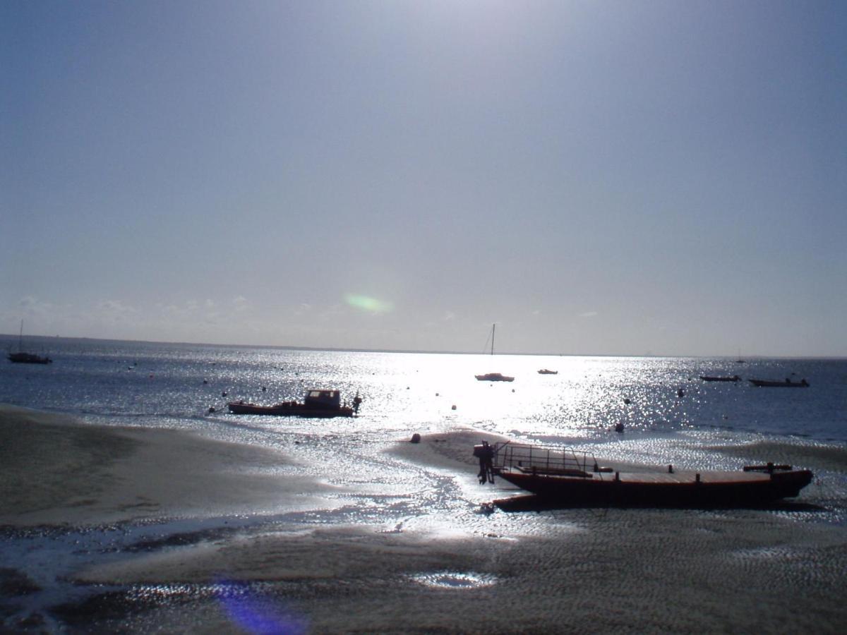 La Cabane Du Truquet Lège-Cap-Ferret المظهر الخارجي الصورة