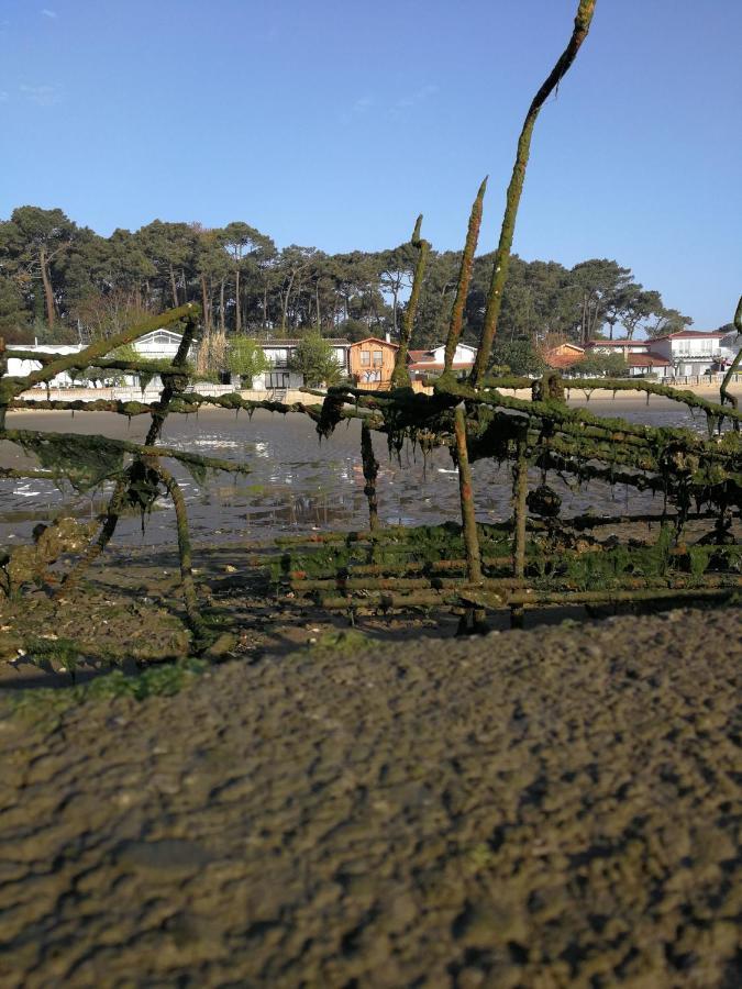 La Cabane Du Truquet Lège-Cap-Ferret المظهر الخارجي الصورة