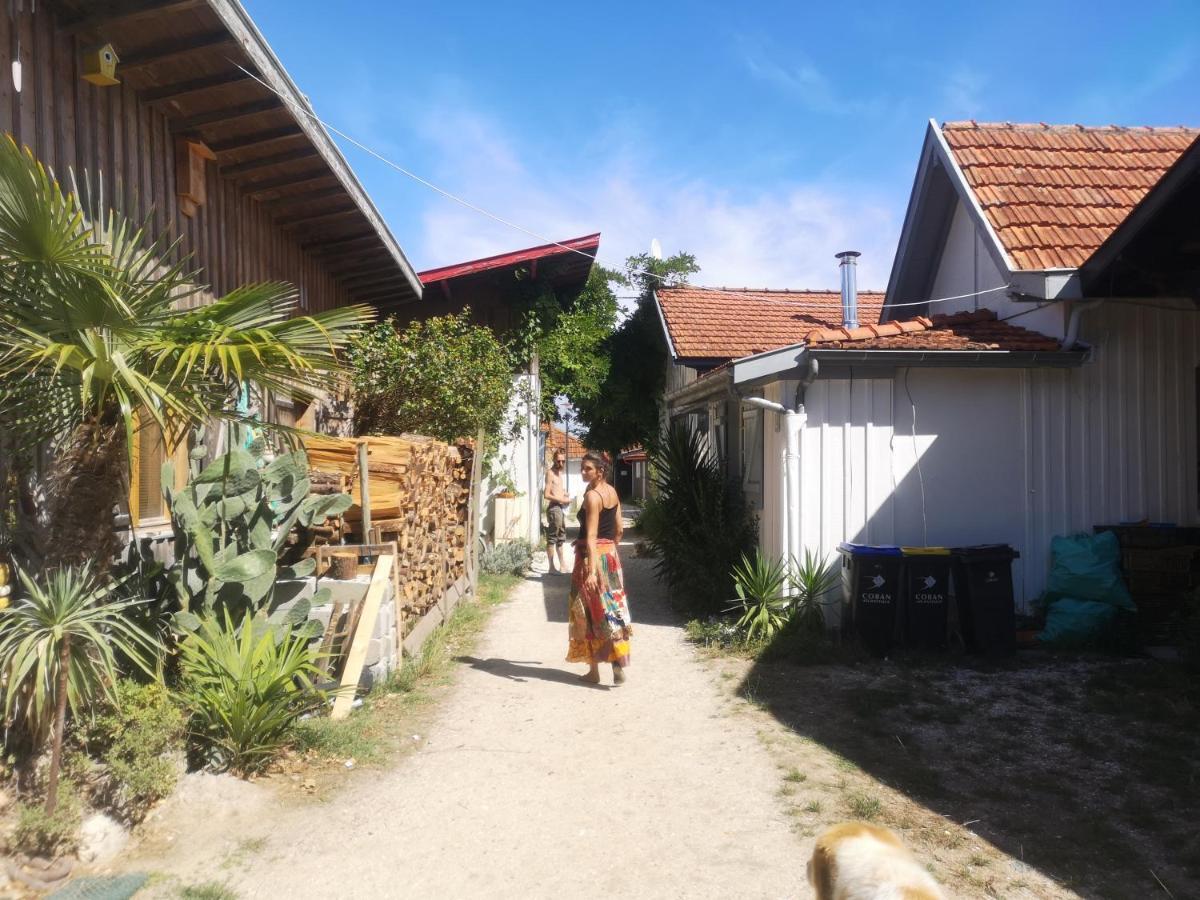 La Cabane Du Truquet Lège-Cap-Ferret المظهر الخارجي الصورة